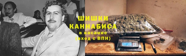 мдпв Дмитриев