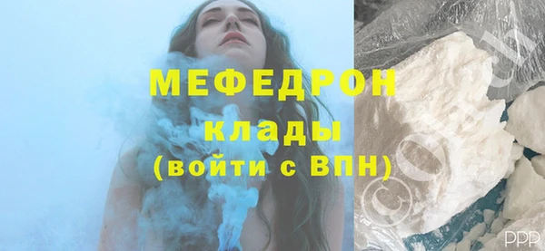 мдпв Дмитриев