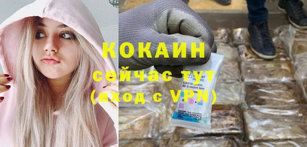 мдпв Дмитриев