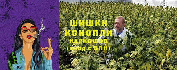 мдпв Дмитриев